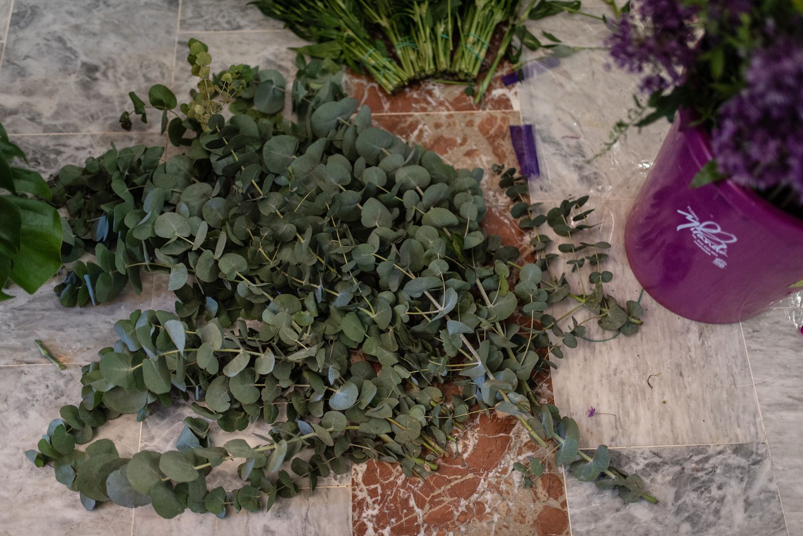 Imágenes de los preparativos de la Hdad de Emigrantes