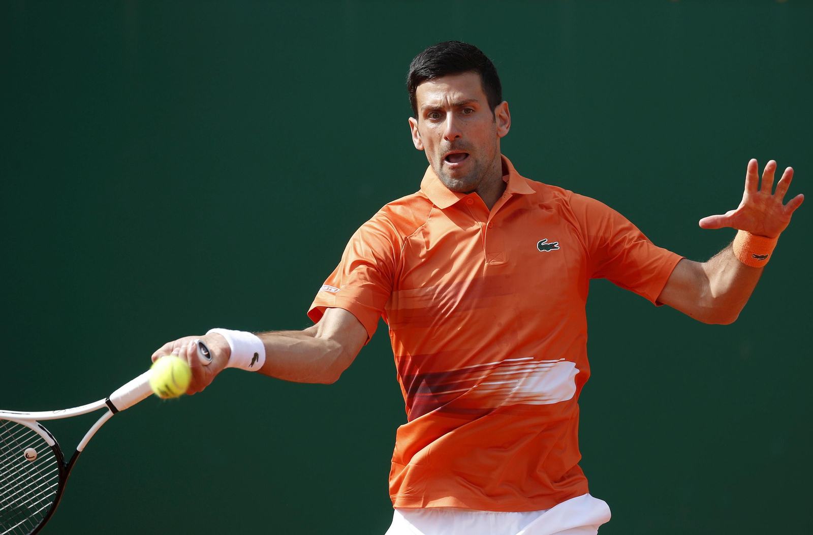 Las fotos del Djokovic-Davidovich