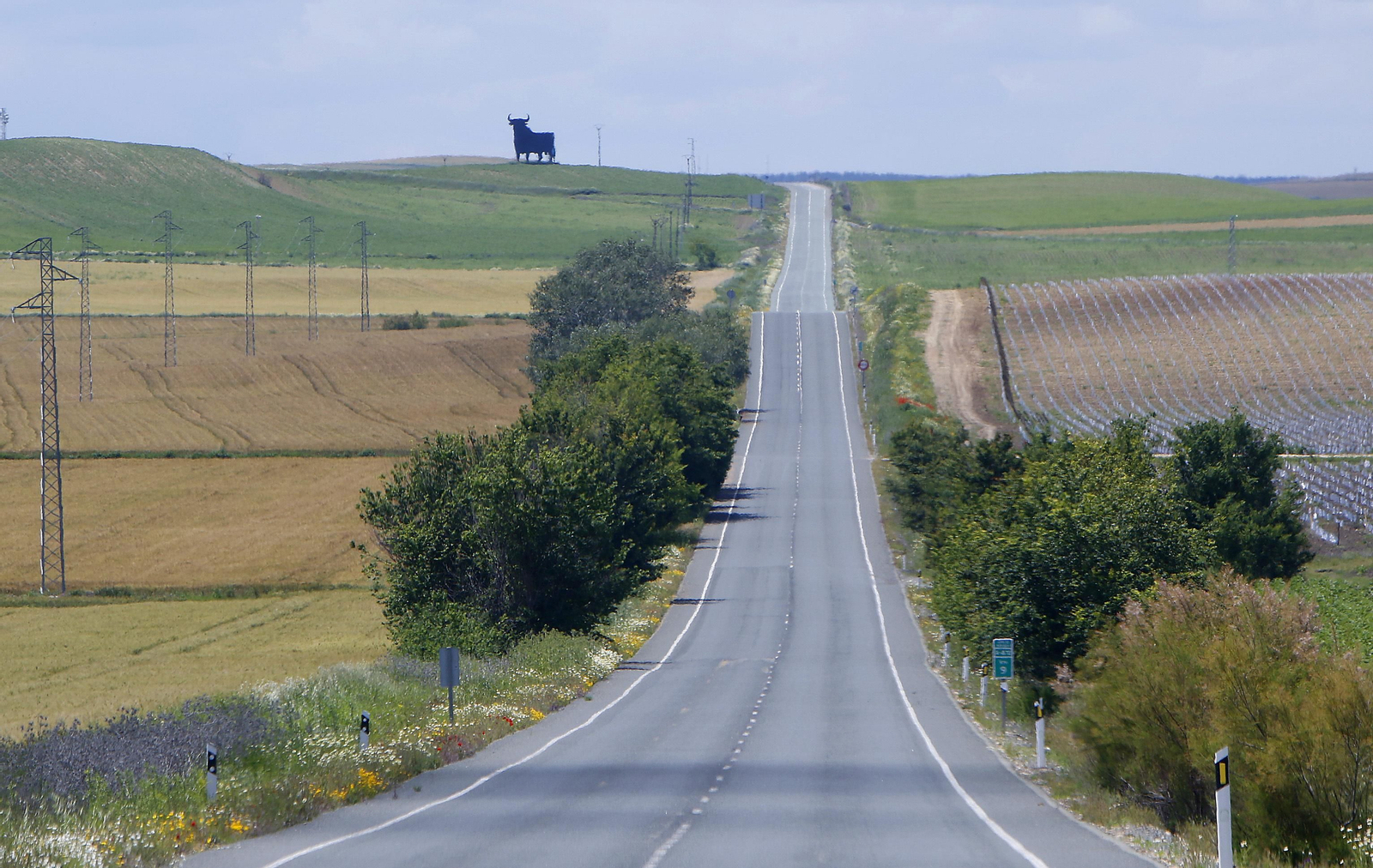 Castilleja del Campo