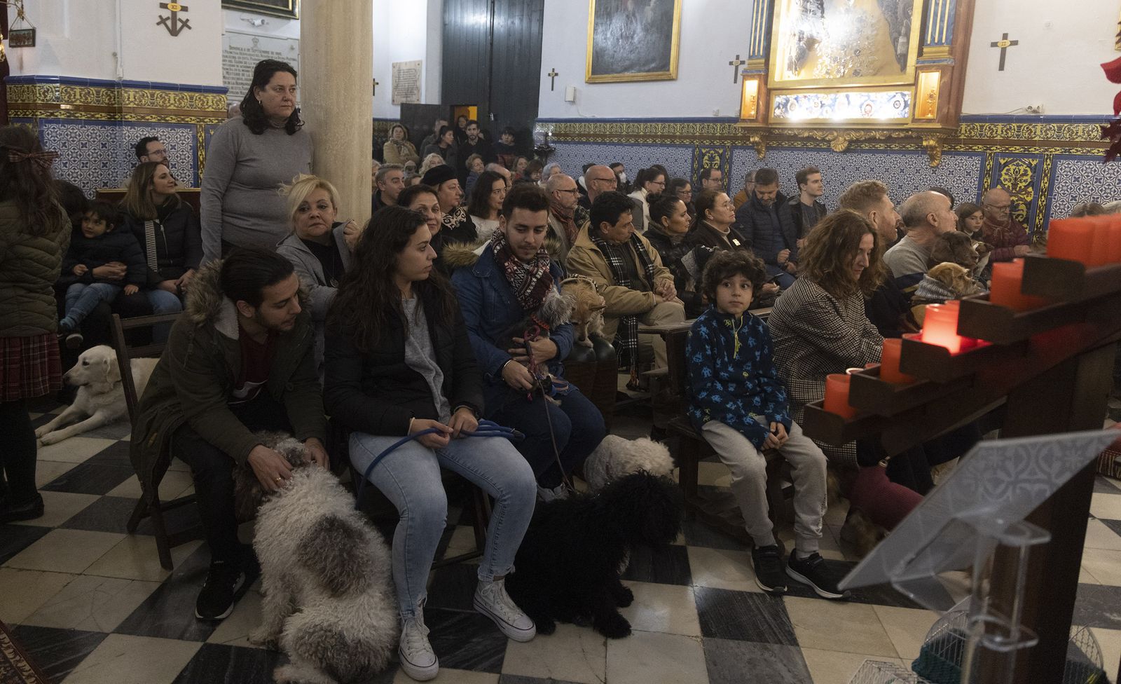 Bendición de animales por San Antón en la Divina Pastora, todas las fotos