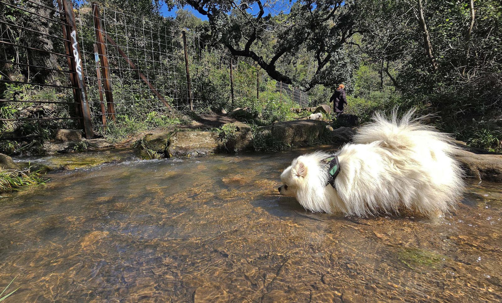 Fotos del río de la Miel tras las borrascas de marzo
