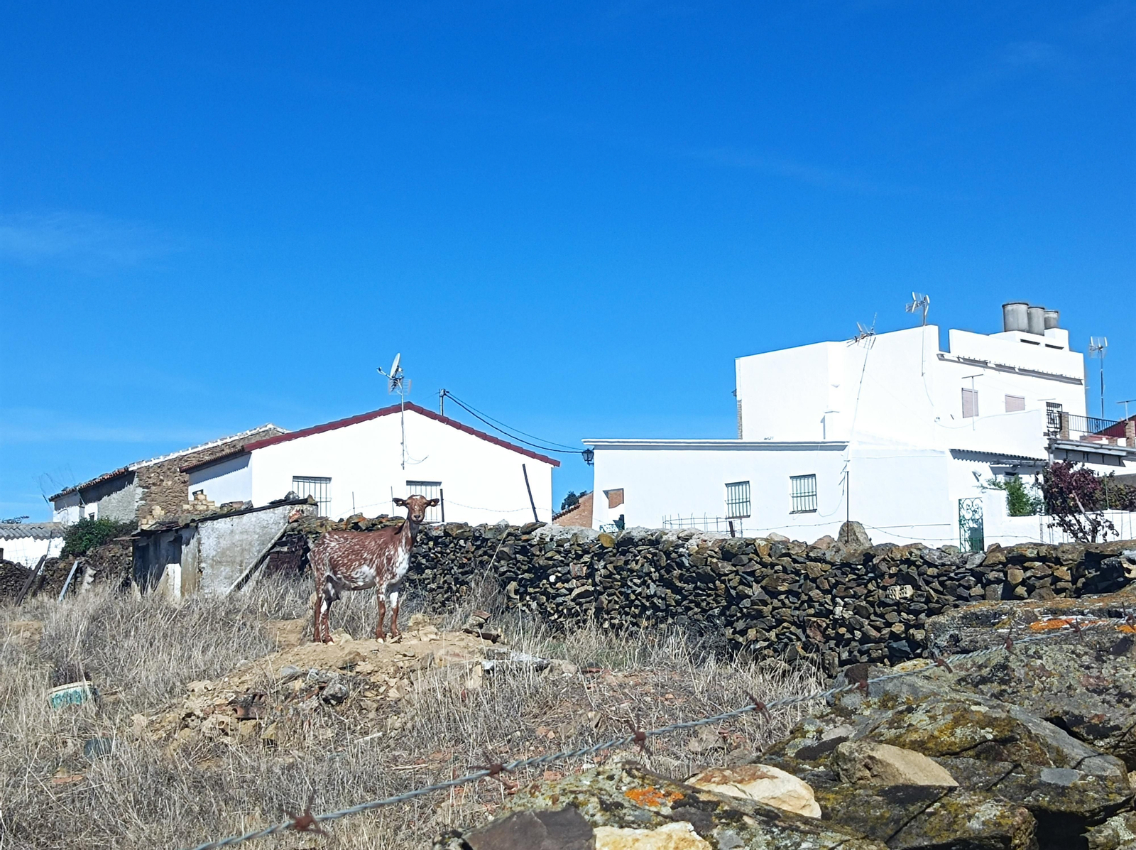 No llegamos a entrar en Juan Antón, lo dejaremos a un lado. Sí veremos alguna granja.