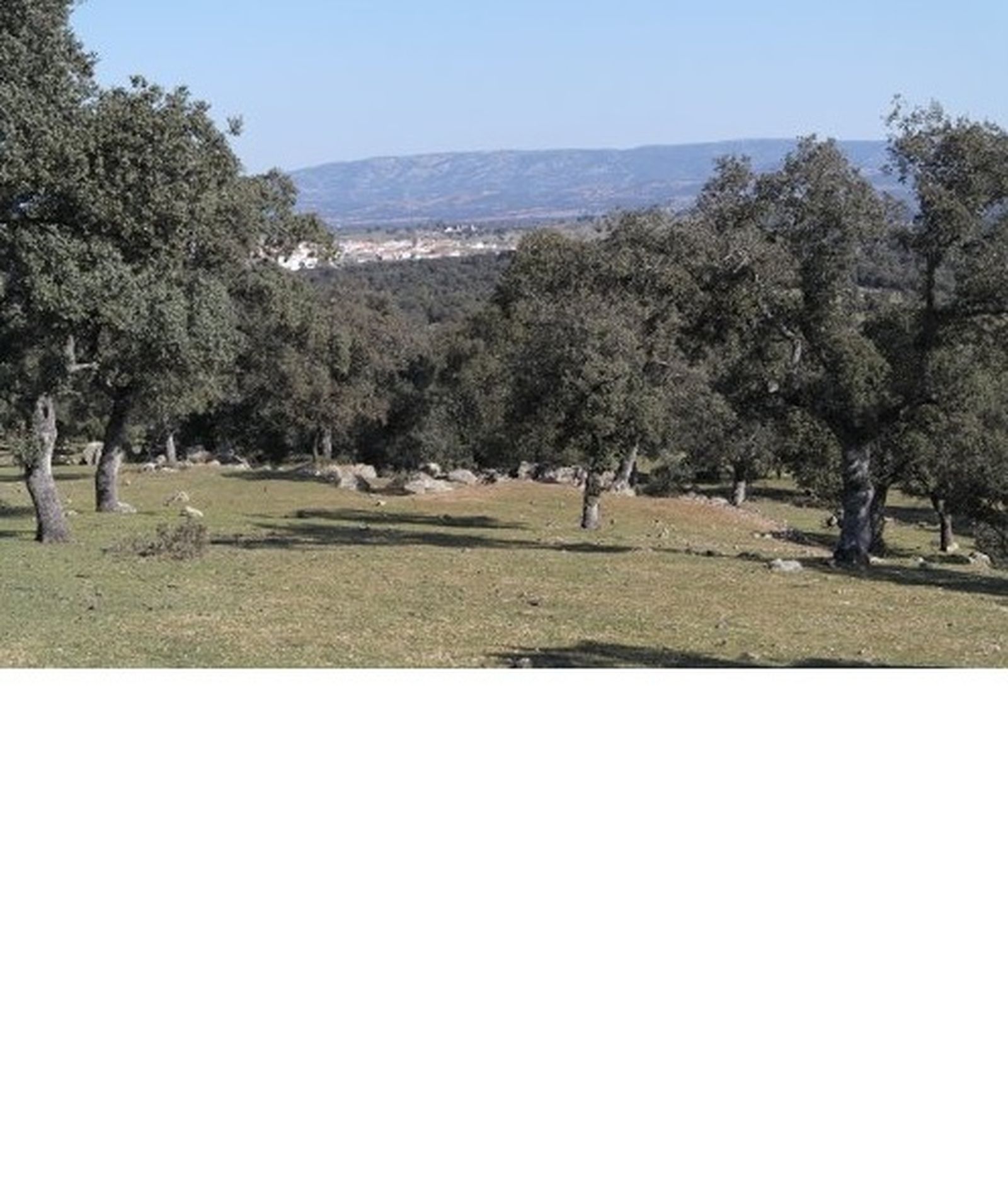 Paisaje de Conquista.