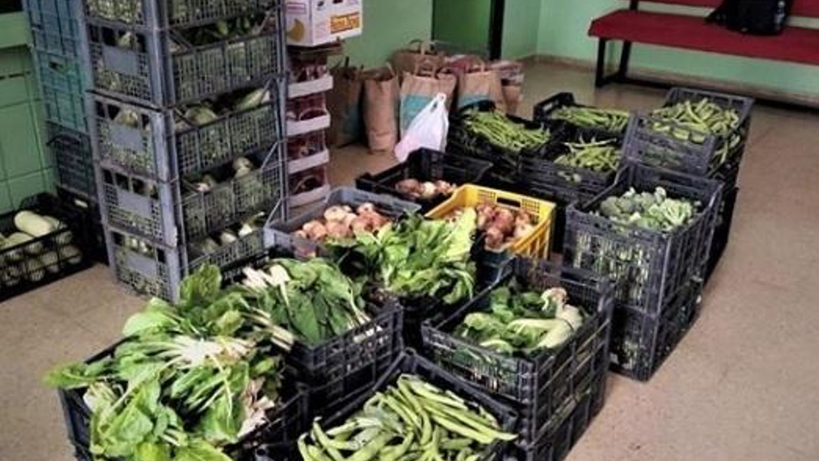 Parte de los productos frescos donados por Alimentando Córdoba