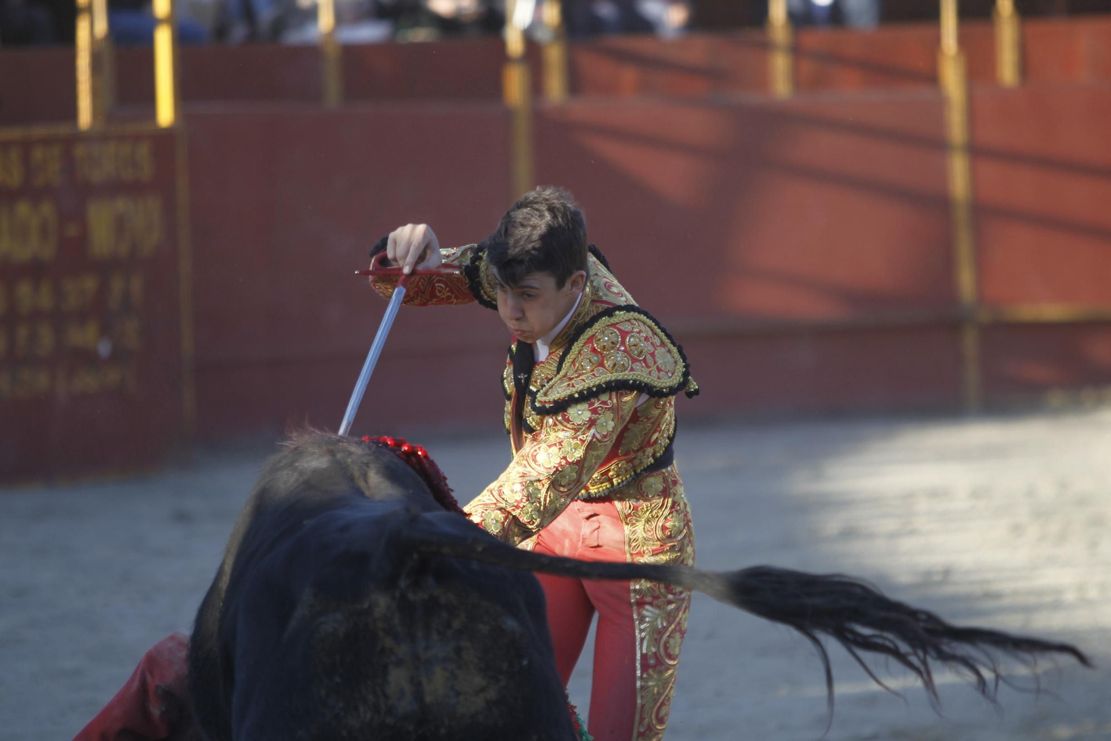 Fotogalería Novillada Fiestas de Abrucena