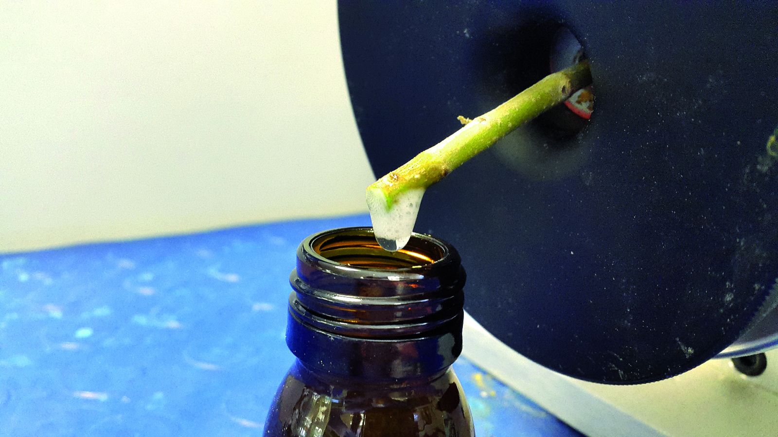 Olivarum: laboratorio de la Fundación Caja Rural de Jaén