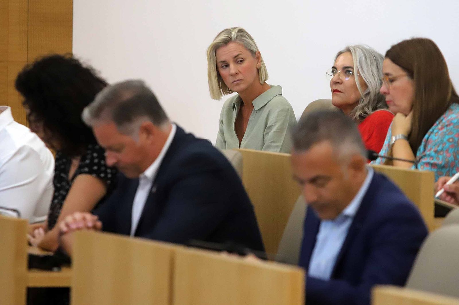 Imágenes del pleno extraordinario celebrado en la Diputación de Huelva