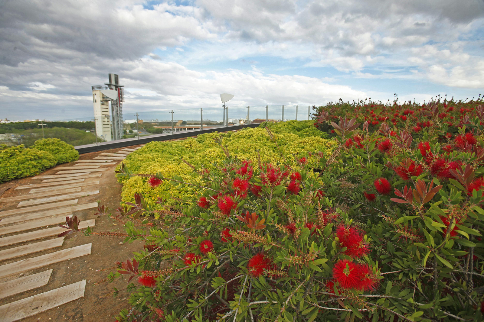 Las cubiertas vegetales del Centro Comercial Torre Sevilla