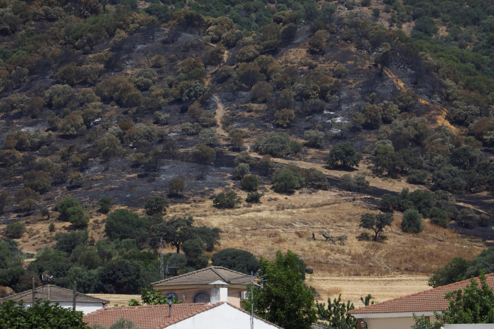 Zona cero del incendio de la Sierra de Córdoba