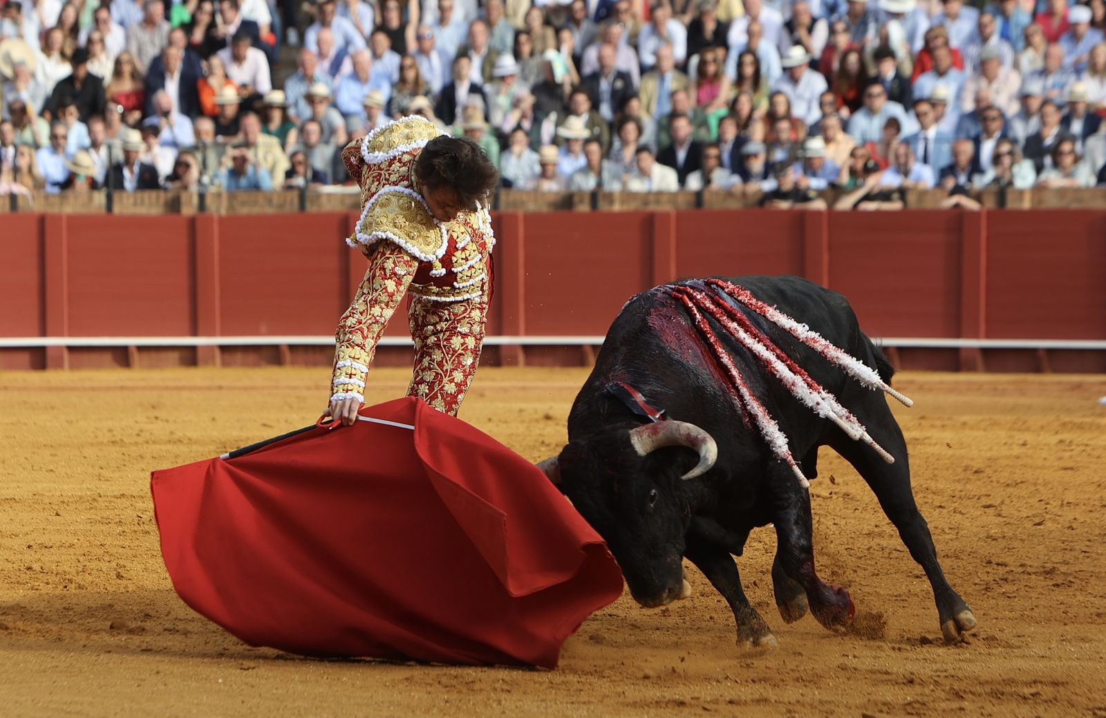 Las mejores imágenes de la corrida de toros de Juan Ortega, Roca Rey y Pablo Aguado