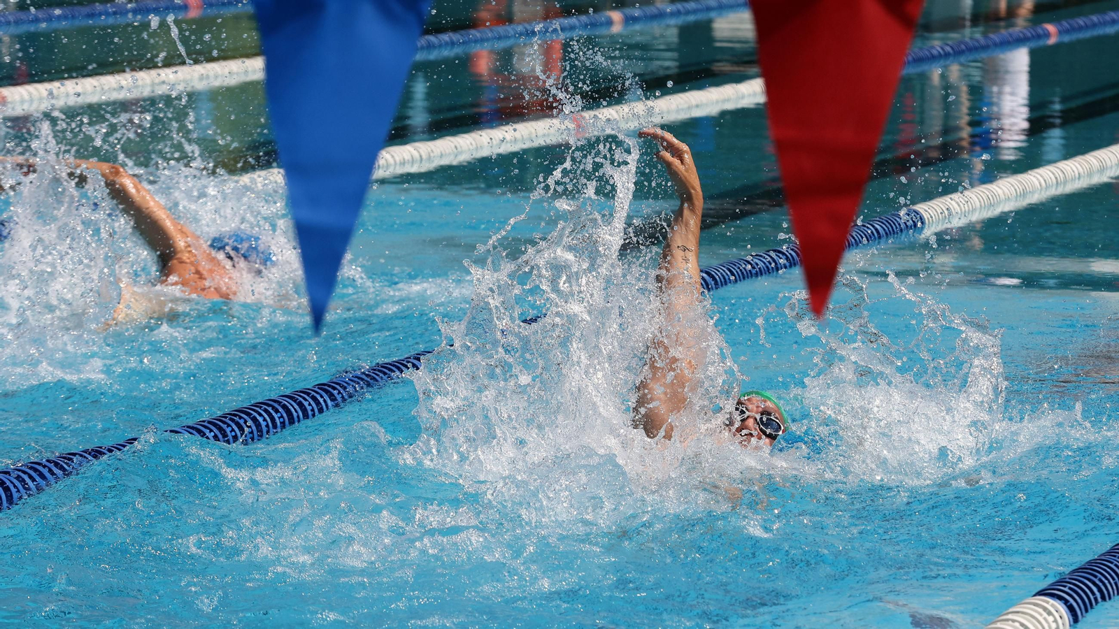 Imágenes del 55 aniversario de la Natación en Jerez