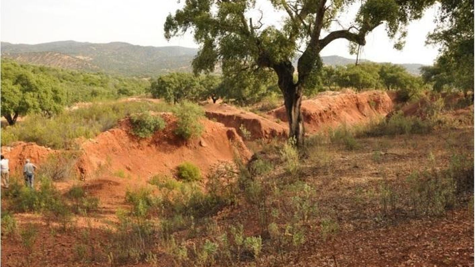Aspecto general de una de las trincheras de la mina Manzorro.