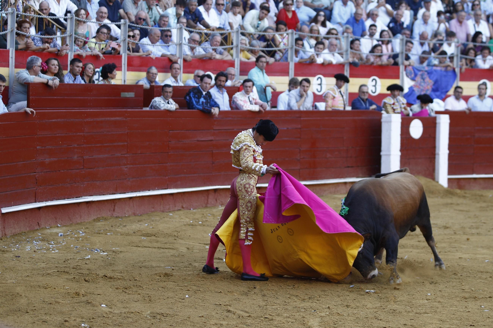 Las mejores imágenes de los toreros Fortes, Juan Ortega y David de Miranda en la Feria de Almería 2025