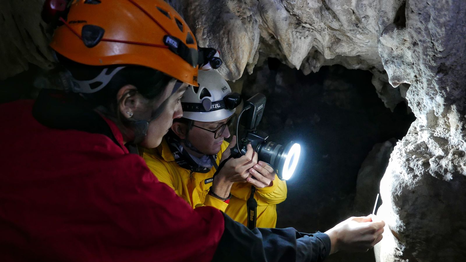 Otro instante de la investigación.