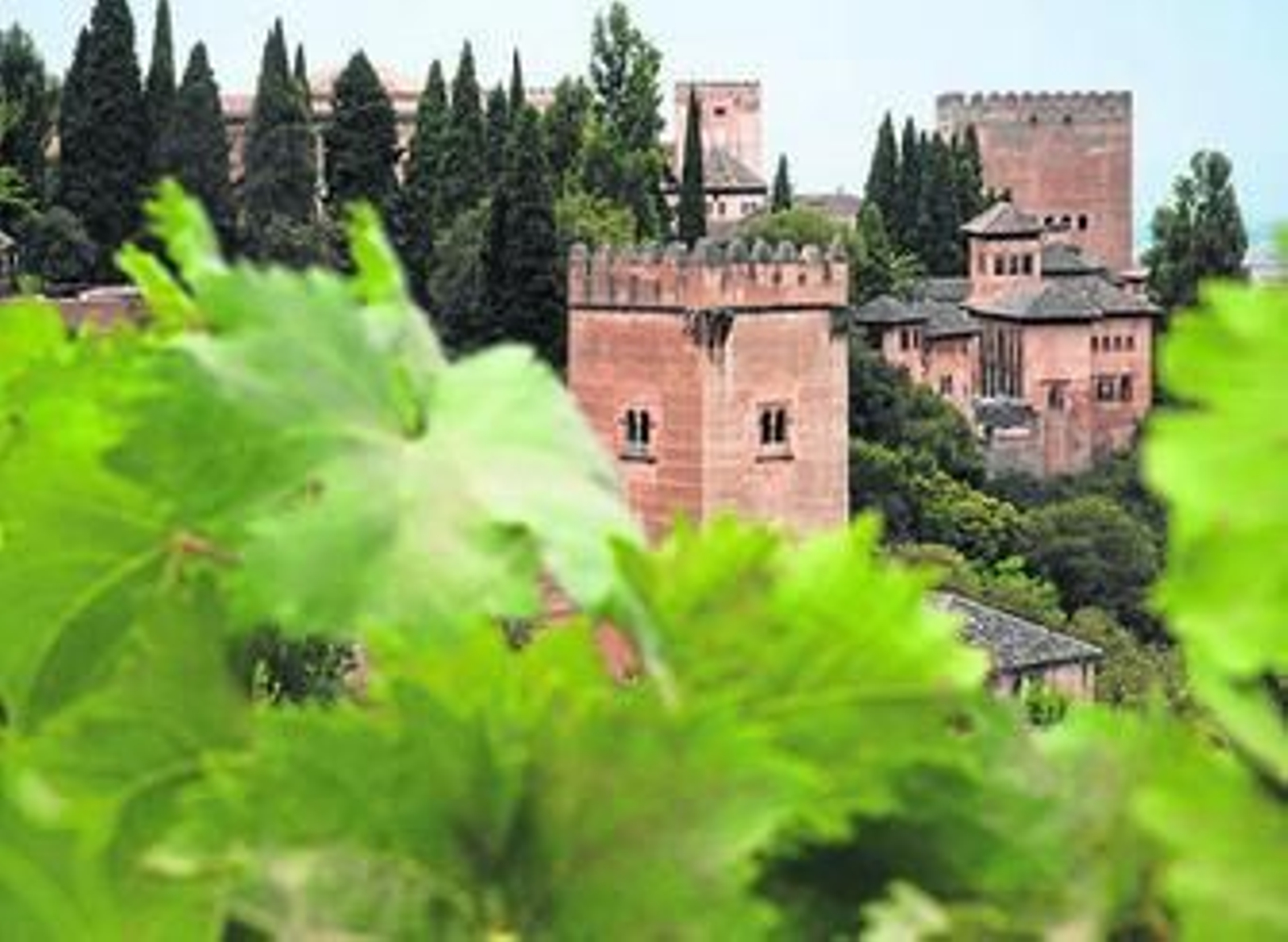 La Concejalía de Turismo quiere promocionar la ciudad desde los azucarillos.