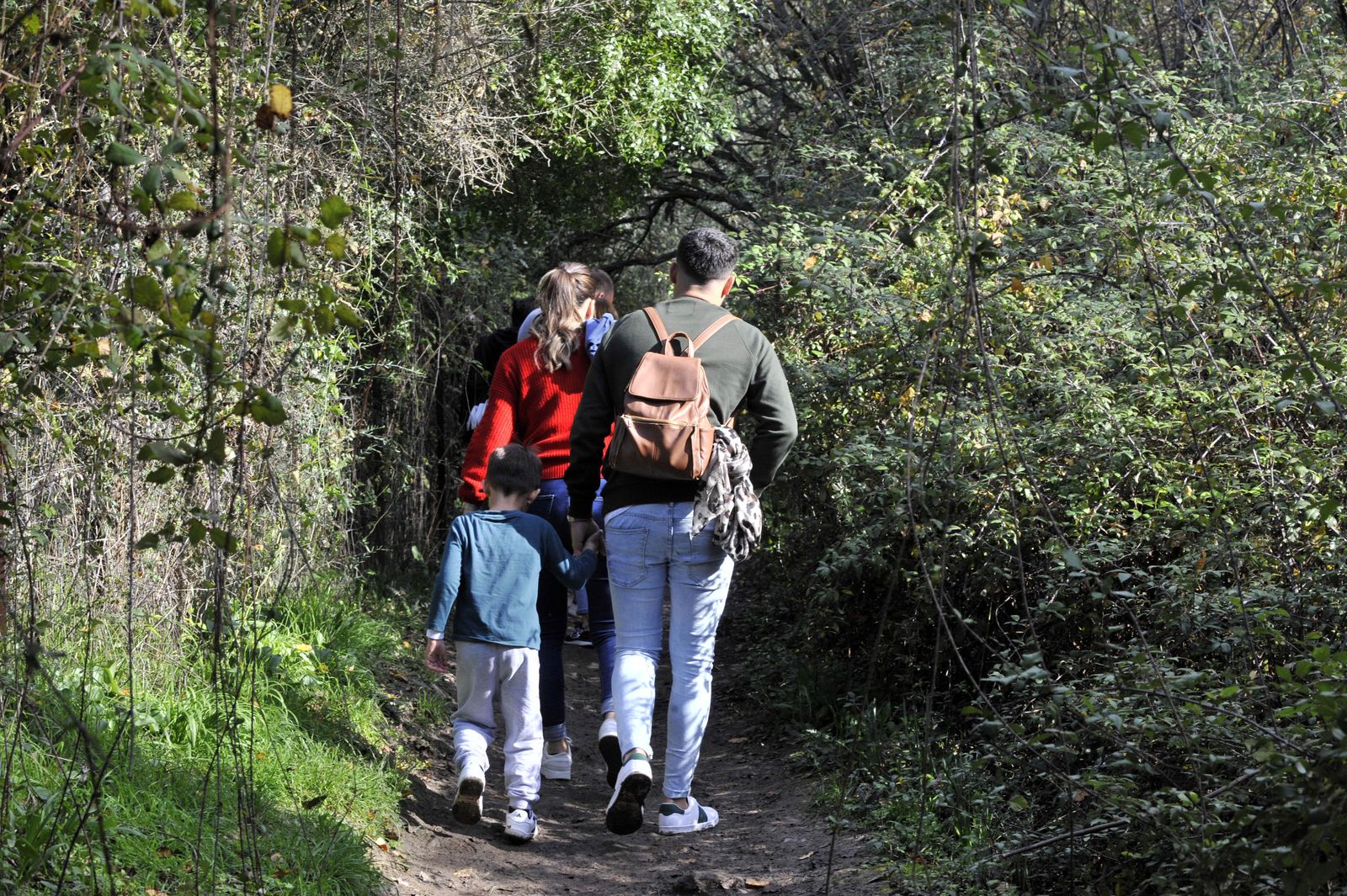 Uno de los tramos del sendero río Majaceite