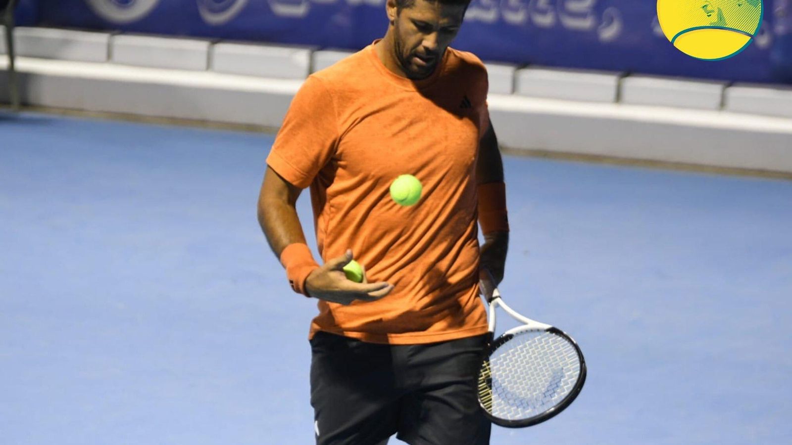 Verdasco, en un momento del partido.