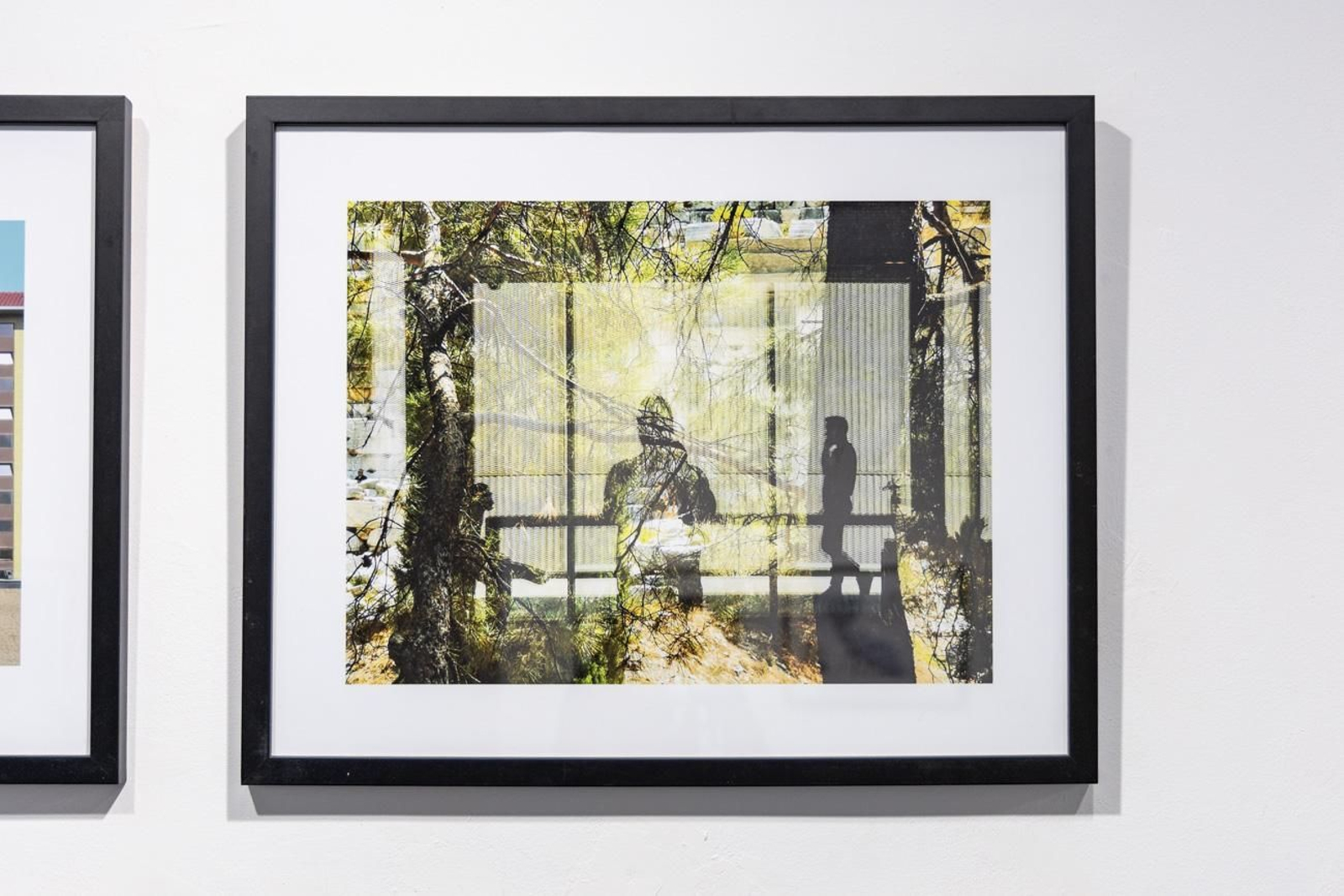 Fotografía para un mundo mejor en la Escuela José Nogué