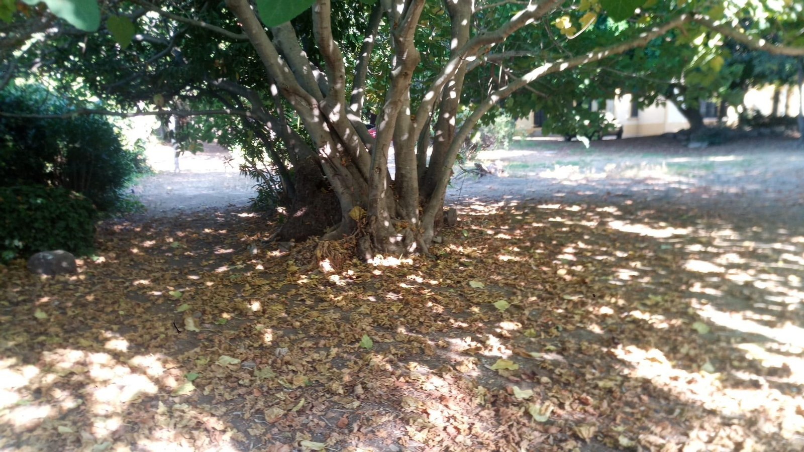 El lugar donde se ubicaba el campamento, ya limpio, este martes.