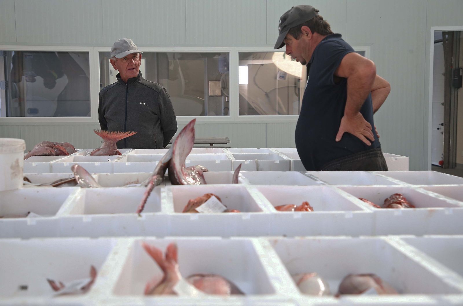 El puerto pesquero de La Línea, en imágenes