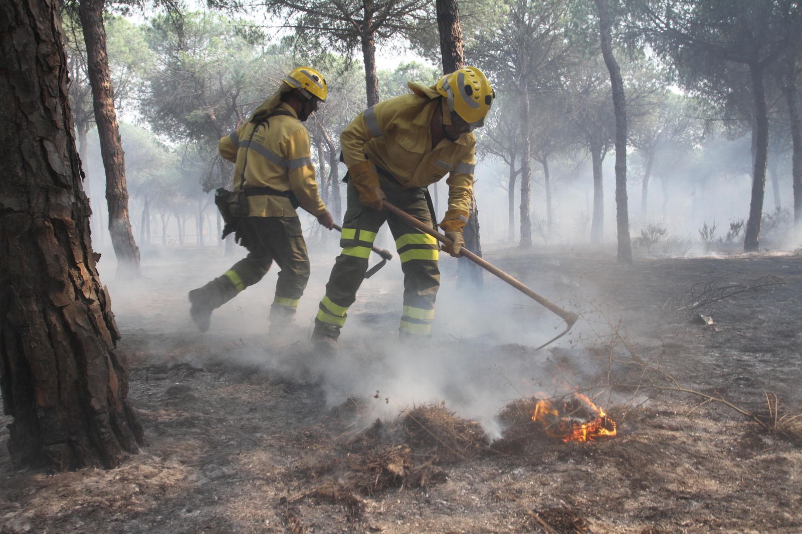 Las imágenes del incendio en Moguer y Mazagón