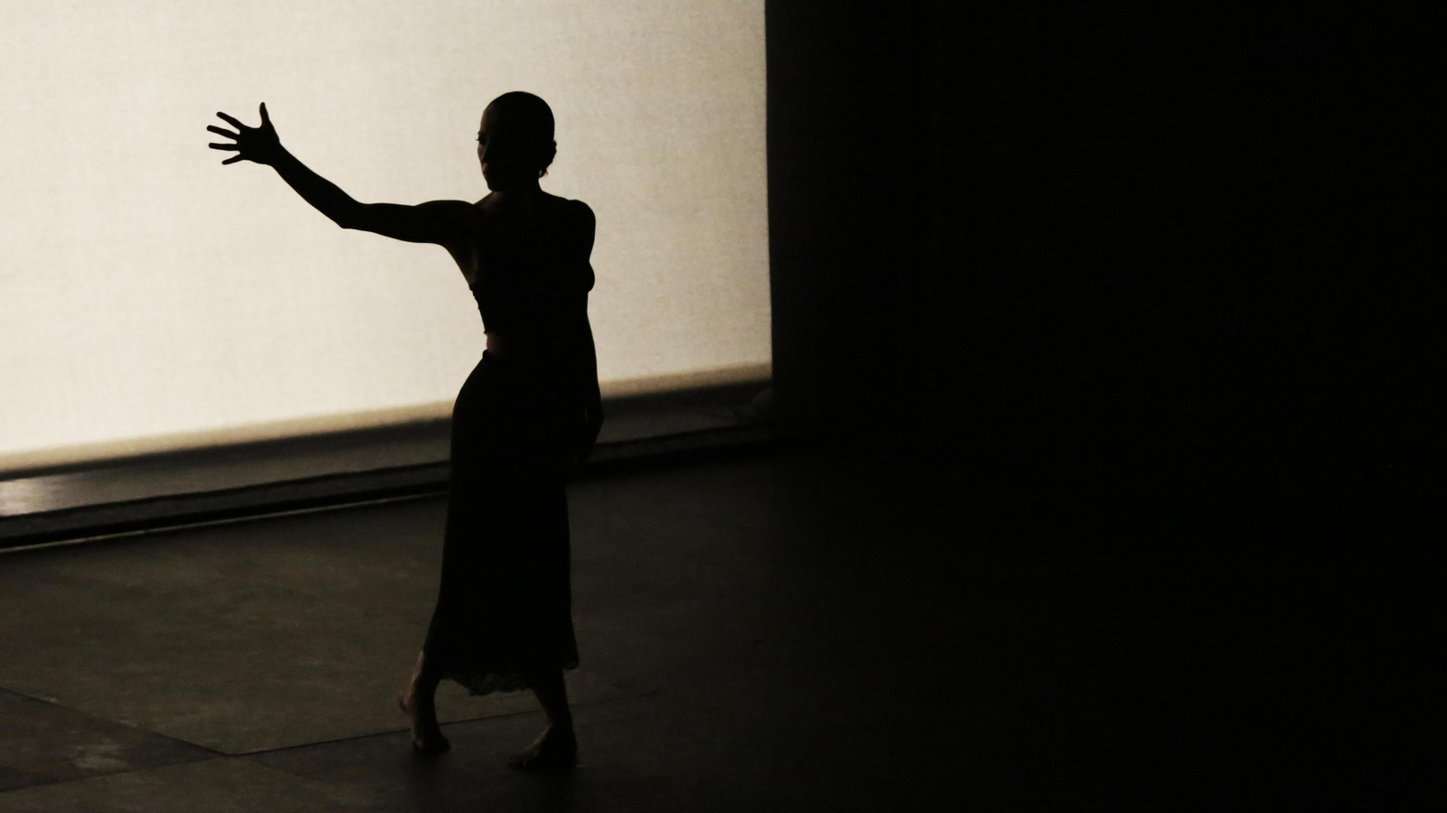 El espectáculo de Ana Morales en La Bienal