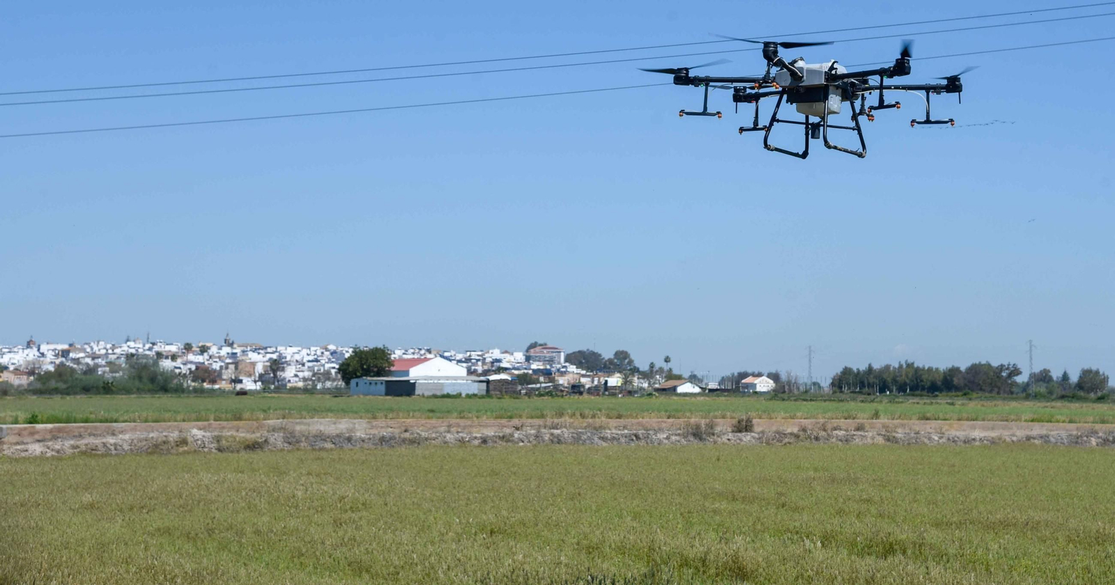 Control de larvas por el Virus del Nilo en la marisma de La Puebla del Río