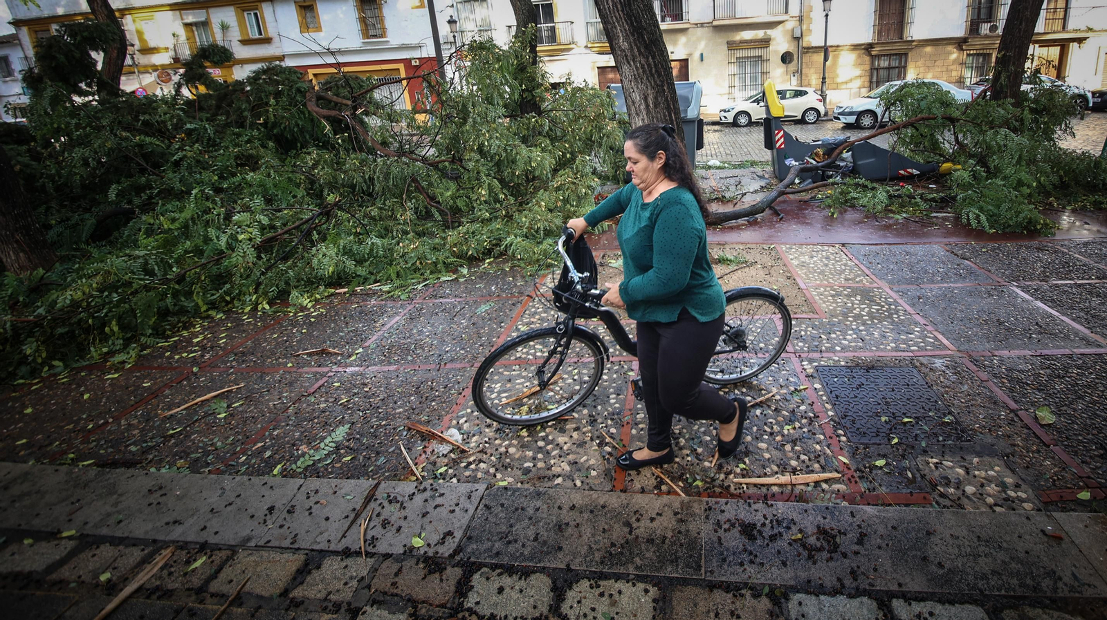 Así está Jerez tras el paso de 'Bernard'