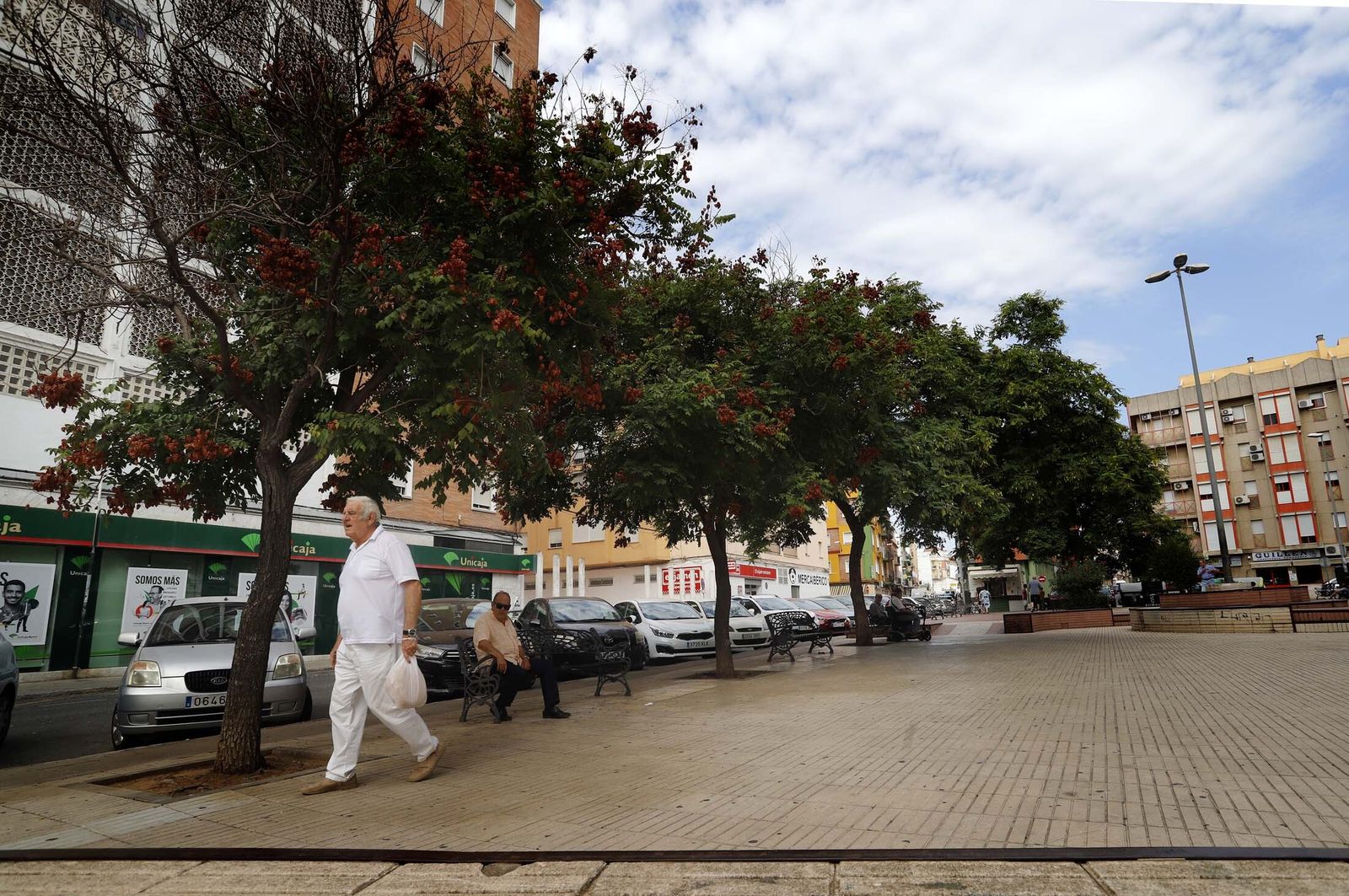 Un paseo en imágenes por la Plaza del Antiguo Estadio y sus alrededores