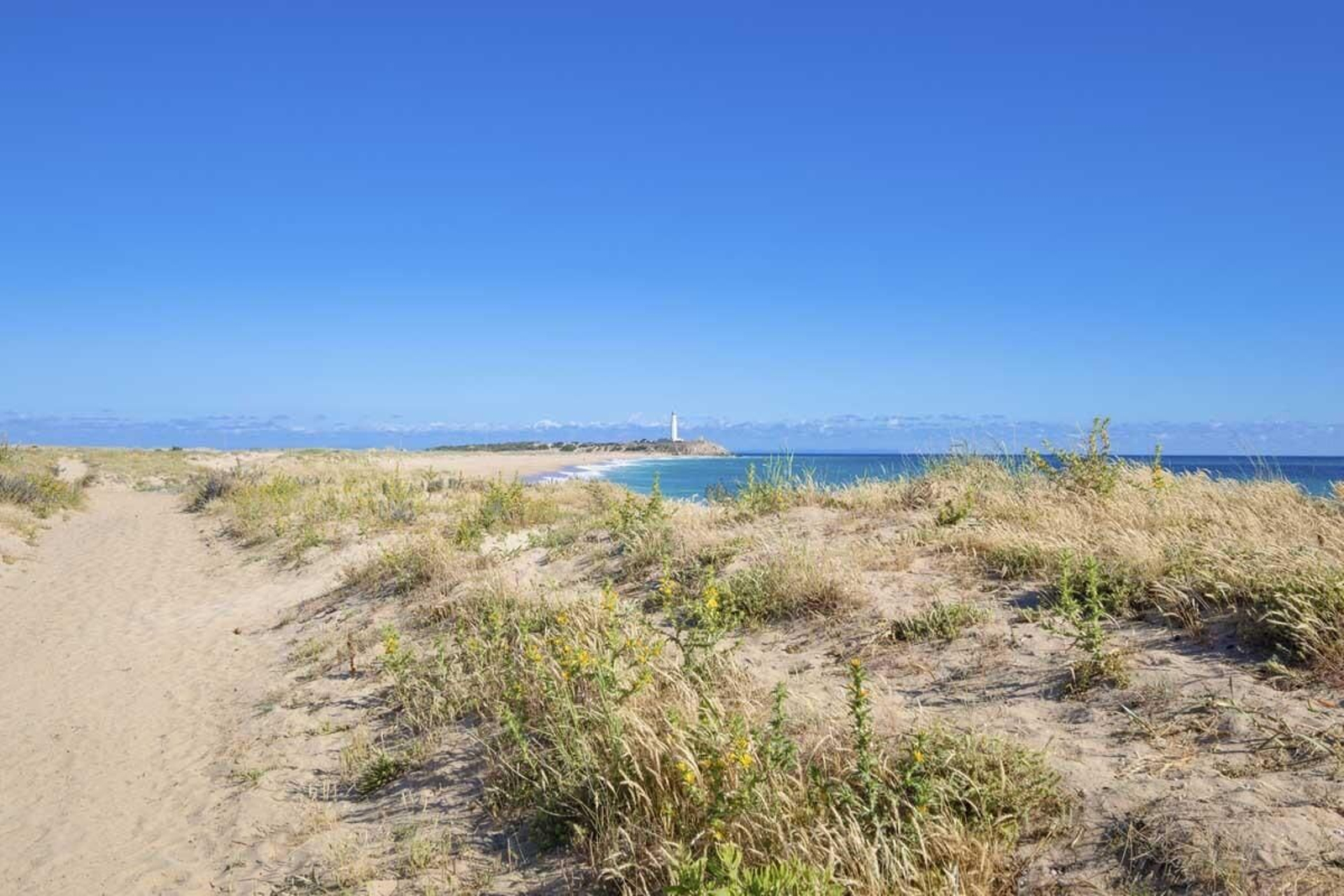 La playa de Zahora, una de las más buscadas este 2022.