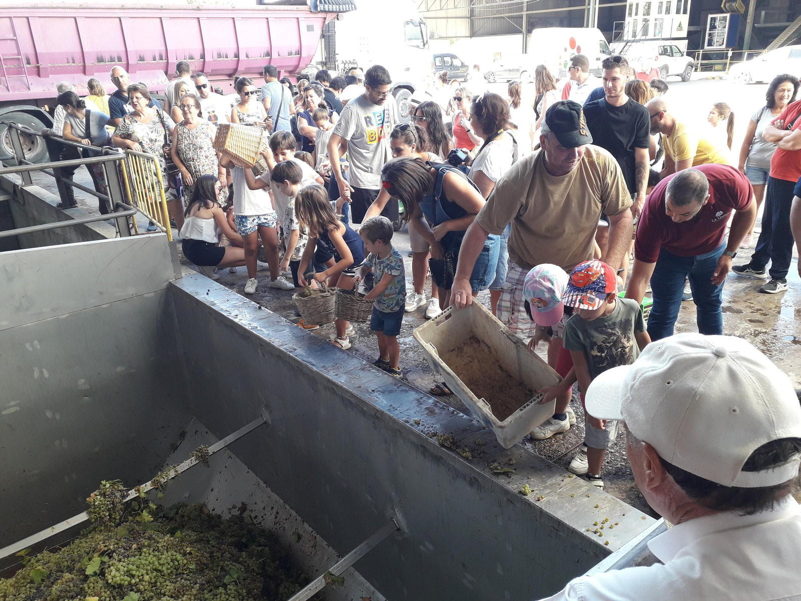 La primera vendimia infantil de Montilla, en imágenes