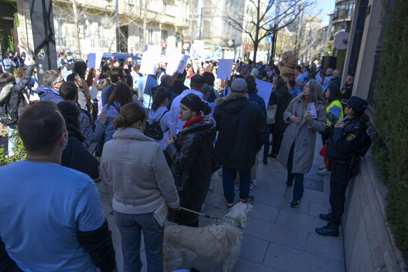 Las mejores imágenes de la manifestación de 300 veterinarios en Granada
