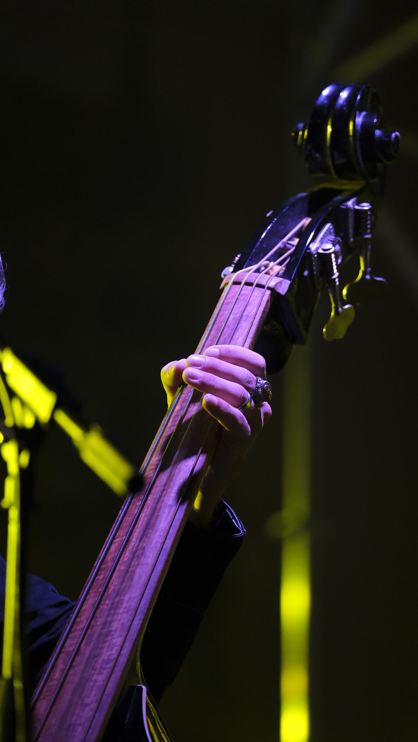 Los míticos Rebeldes abren la Feria de Almería 2024, en imágenes