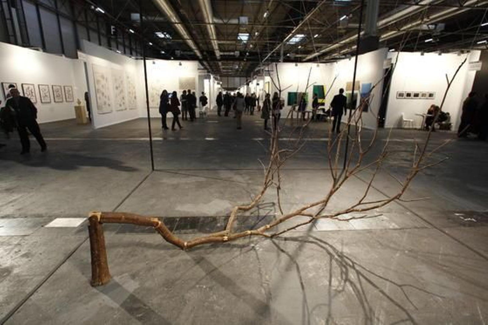 Reportaje gráfico: José Ramón Ladra.