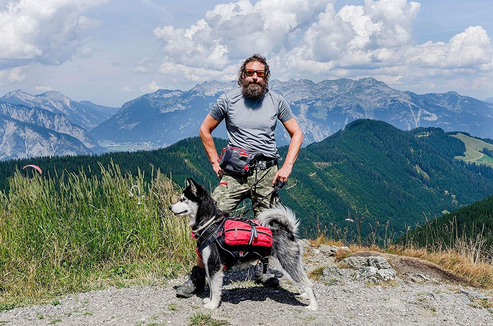 Mochilas para que tu perro lleve sus propias cosas ¿sí o no?