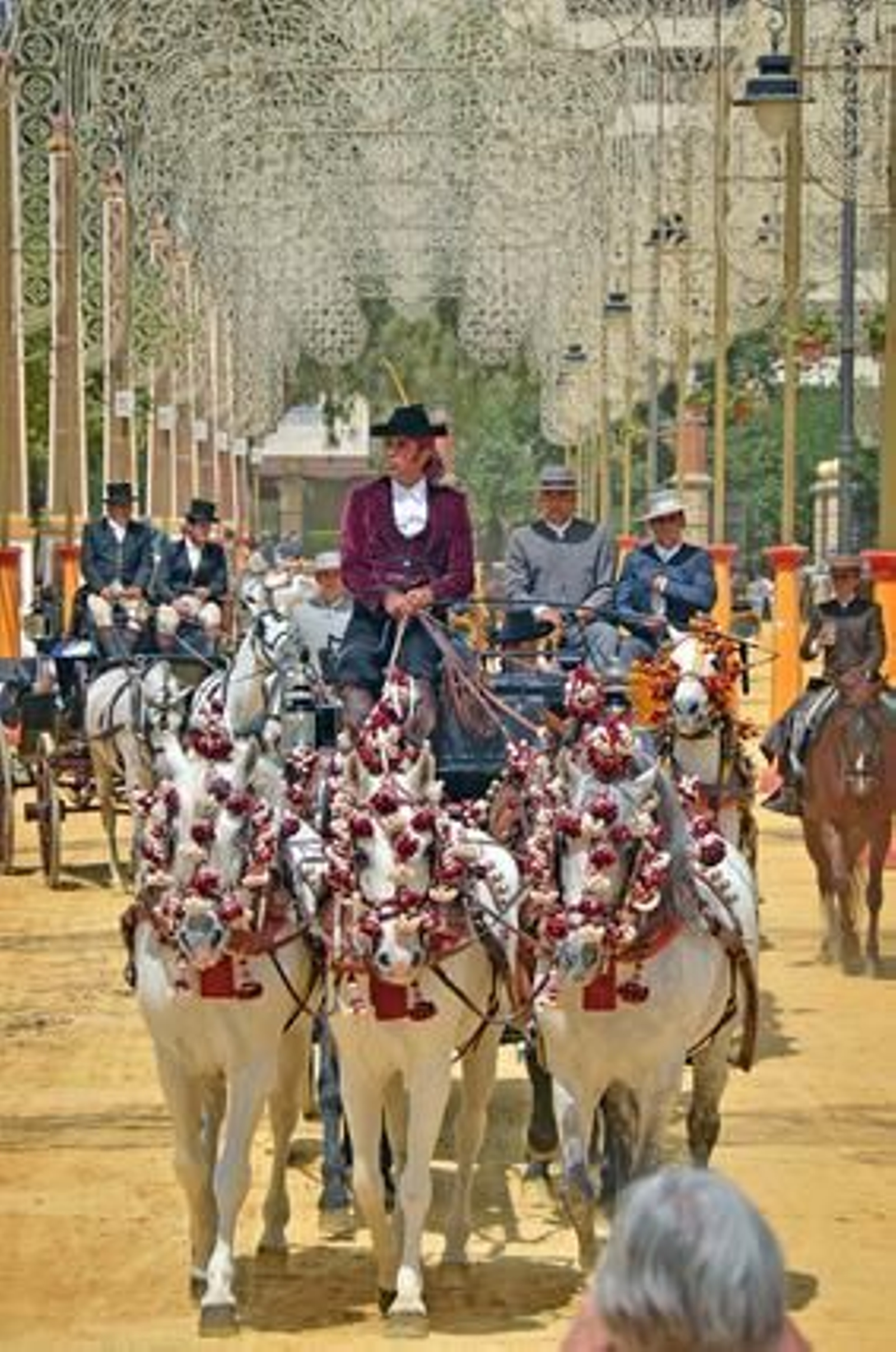A la calesera. Los enganches engrandecieron ayer el paseo de caballos.

Foto: Manuel Aranda