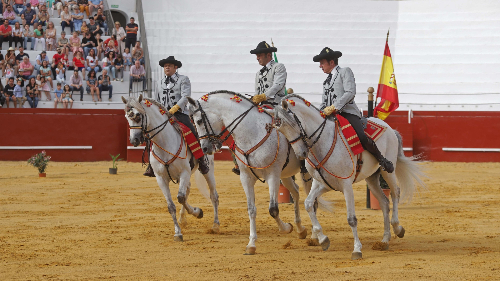 Fotos del espectáculo 'Cómo bailan los caballos andaluces' en San Roque