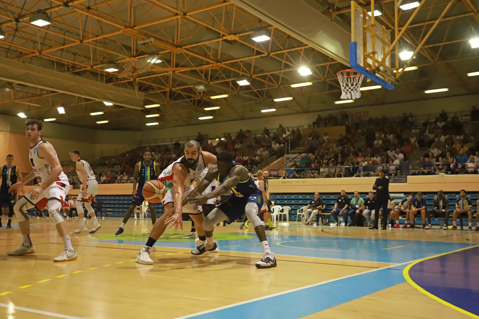 Las mejores fotos del Udea - Club Baloncesto Zamora