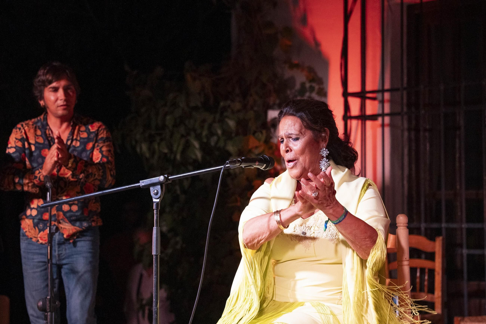 Las mejores imágenes del Festival de Flamenco en Fondón