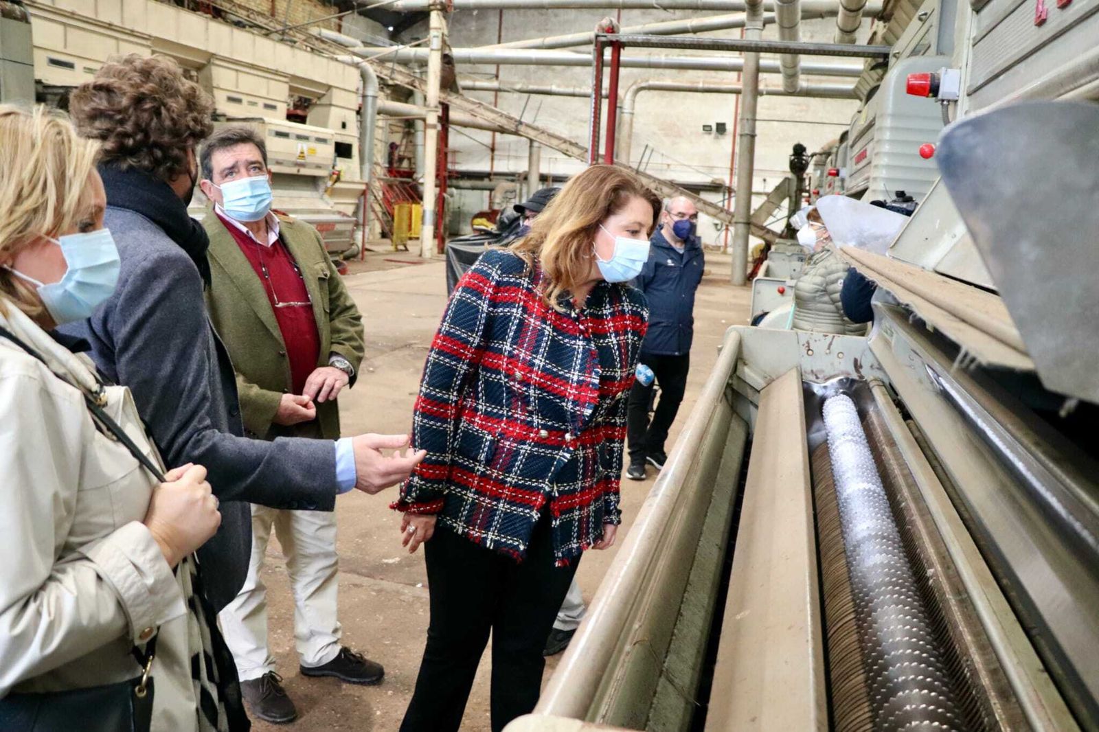 Anuncian el pago de 50 millones en ayudas especiales al sector del algodón