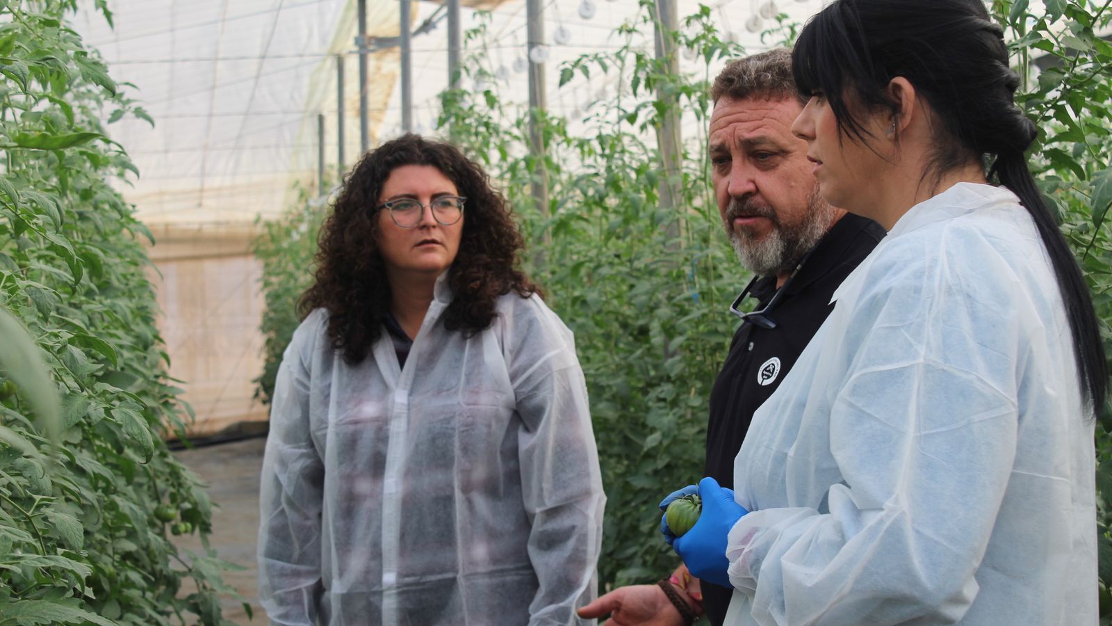 Técnicas con agricultor en Granada La Palma
