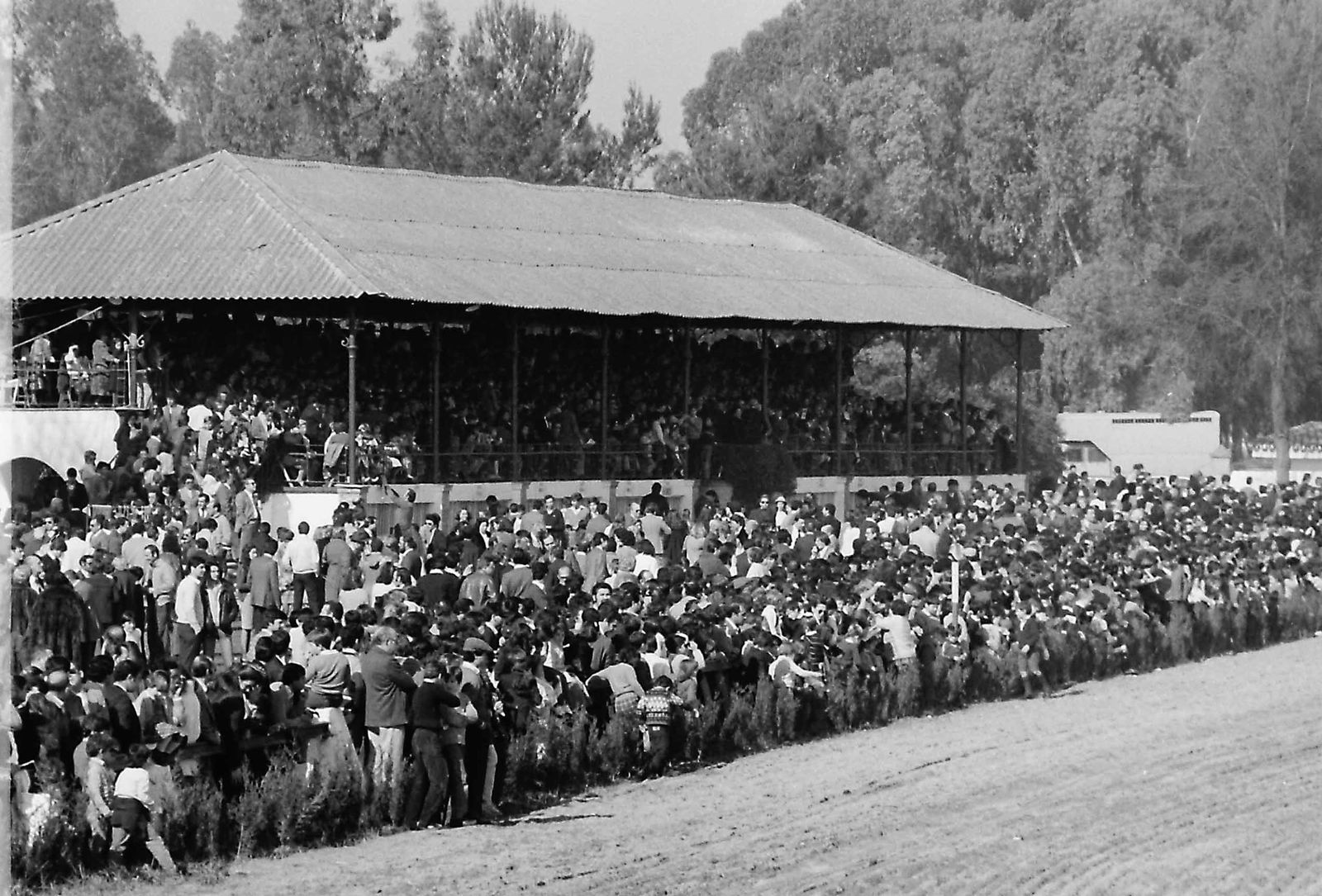 75 aniversario del hipódromo de Pineda