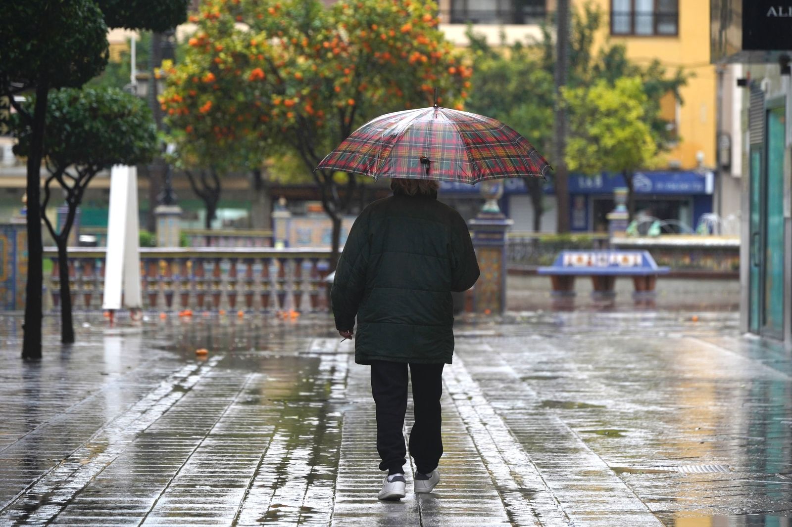 Fotos de las lluvias de la borrasca Leonardo este miércoles en Algeciras