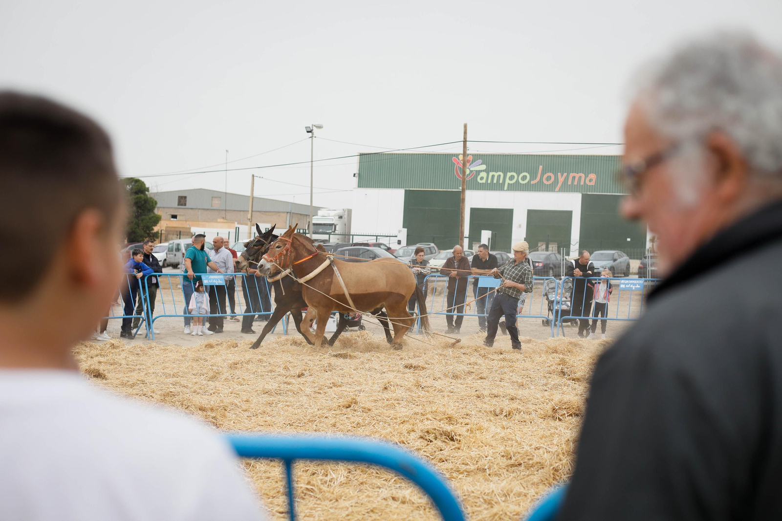 Galería de la Feria  de ganado en Tarambana