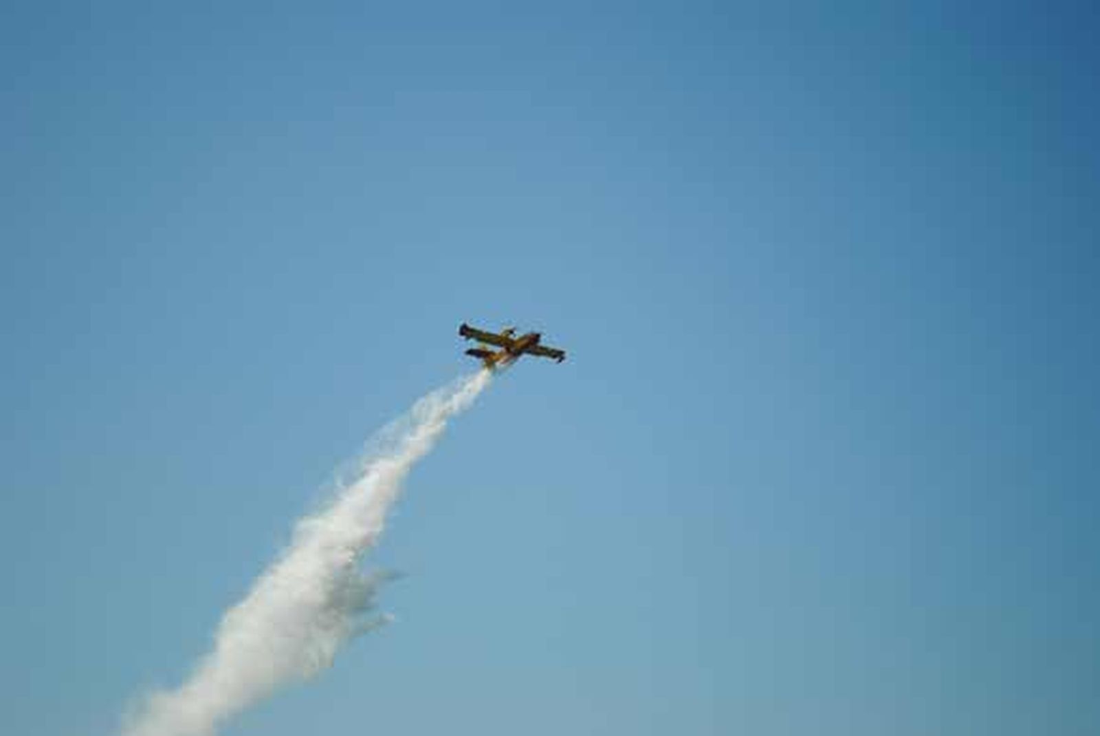 Danay Varona Ponce de León