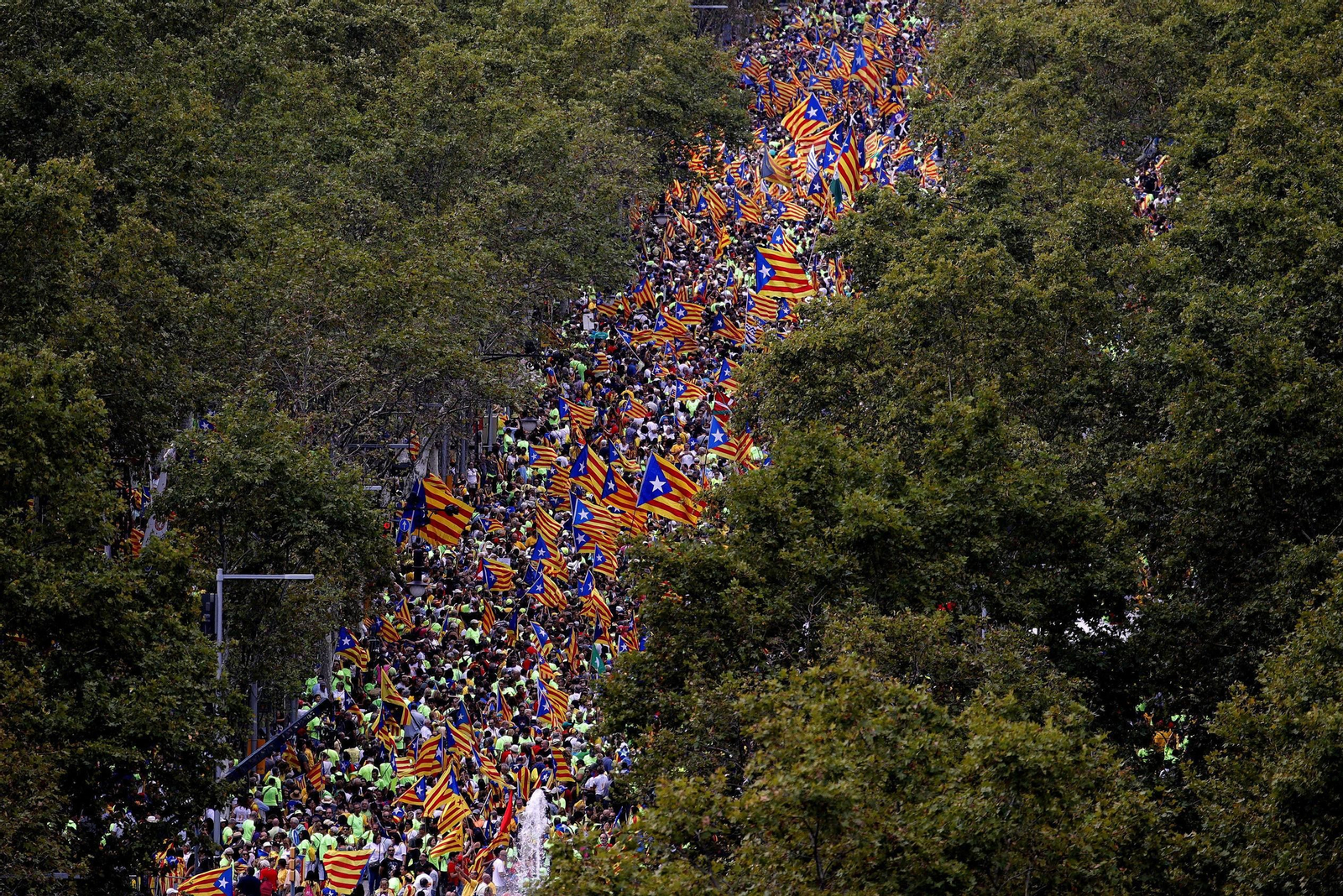 La manifestación independentista de la Diada, en imágenes