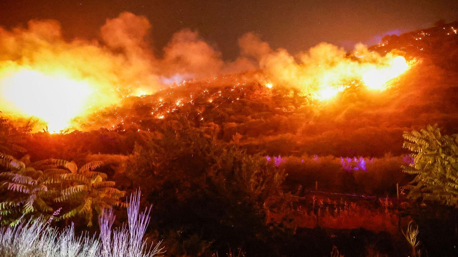 Incendio forestal en la zona de Fuente de la Bicha de Granada