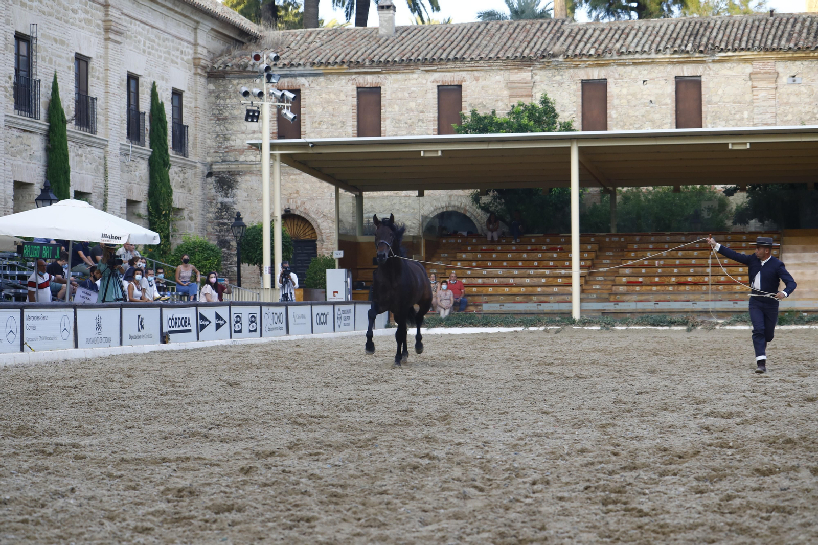 El concurso morfológico de caballos de pura raza de Cabalcor, en fotografías
