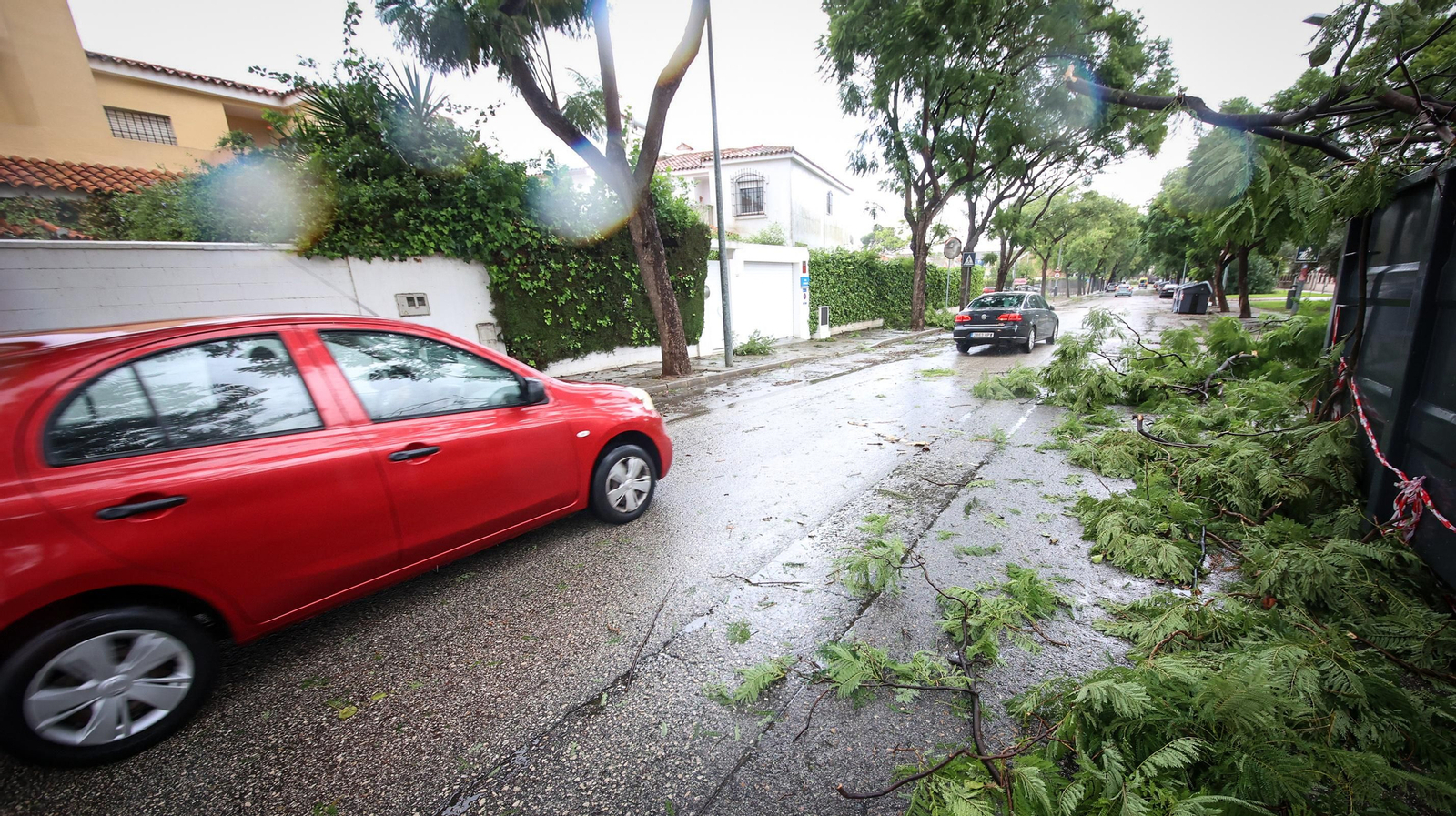 Caos en Jerez por los destrozos del temporal de viento