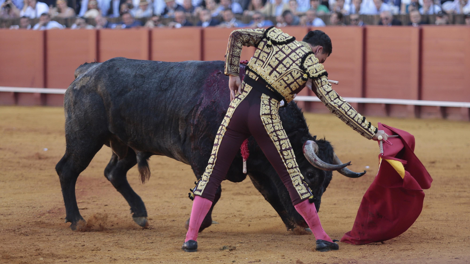 Las imágenes de la corrida de Los Miura